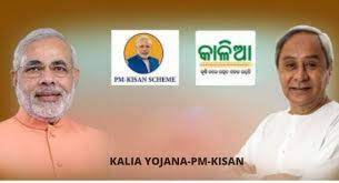 1.1 pm kisan samman yojana: Kalia Yojana Pm Kisan Merger Know Details Update Odisha