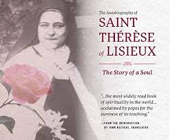 Therese chronicled her thoughts and emotions through her many letters and manuscripts. The Autobiography Of St Therese Of Lisieux The Story Of A Soul Brownrigg Sherry Kennedy Beevers John 9780867168099 Amazon Com Books