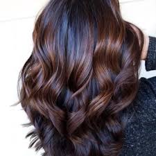 Chestnut Hair Color Ideas That Have Us Ready For Fall Chestnut Hair Color Chestnut Hair Light Brown Hair