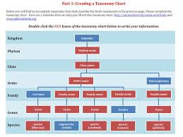 ppt 6 01 classification of living organisms instructions