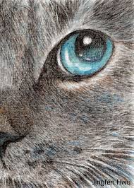Pin By Laura Chaves On Dibujos Cat Art Print Eye Drawing Cat Art