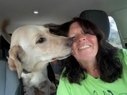 Lost Great Pyrenees dog