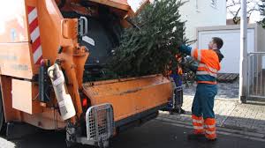 Bald werden die weihnachtsbäume in ehingen und umgebung eingesammelt. Weihnachtsbaume Werden Vom 7 Bis 15 Januar 2021 Abgeholt
