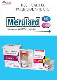 Melius erit meronam ad meranum movere: Merulard 500 Meropenem 500mg Antibiotic Drug Rs 198 Piece Id 9426018497
