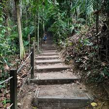 Wah, which part of diary farm? Photos At Dairy Farm Loop Trail In Singapore