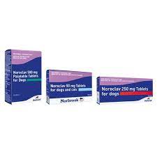 Play in wheel of fortune, classic roulette, matchbetting, duels. Novaclav 625 Mg Gold Novaclav 625 Mg Gold Novaclav 625 Mg Tabletta