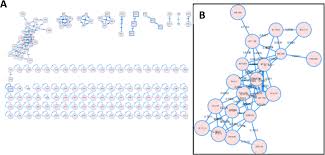 Image result for Commicarpus grandiflorus