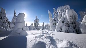 Weitere ideen zu naturbilder, landschaftsbilder, schöne natur. 48 Free Microsoft Wallpaper Winter On Wallpapersafari