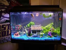 Blue Fish Tank Decoracion De Pecera Decoracion De Peceras Peceras Marinas
