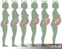 انا حامل بالشهر الخامس و اريد تنزيل الجنين اخواتي راح يقتلوني الموضوع حياة او موت انا بترجاك تساعدني انا محتاجة الوصفة كتيييييير من فضلك ساعدني. ÙØ¹Ù„ Ø§Ù†Ø§ Ø£Ø´ØªÙƒÙ‰ ØºØ§Ù…Ø¶ Ø§Ù„Ø­Ù…Ù„ ÙÙŠ Ø§Ù„Ø´Ù‡Ø± Ø§Ù„Ø³Ø§Ø¯Ø³ Gite 64 Com