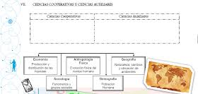 La Historia Y El Tiempo Ciencias Auxiliares De La Historia Ciencias Auxiliares Ensenanza De La Historia Ciencias Sociales