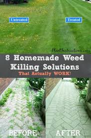 Pin On Gardening