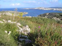 Check spelling or type a new query. View Of Bugibba And St Paul S Bay From Behind Selmun Castle Mapio Net