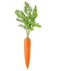 Maybe you would like to learn more about one of these? Wortel Sayuran Stok Foto Wortel Sayuran Gambar Bebas Royalti Depositphotos