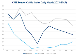 Feeder Cattle Futures Trading Hours The Best Trading In World