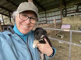 Day One of Lambs 2024 and Two Milestones