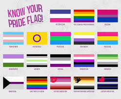 Let's see 10 lgbt pride flags. Flags Of All The Sexual Orientations Gender Identities And Lgbt Subcultures You Can Probably See In Your Cities During The Pride Month Vexillology