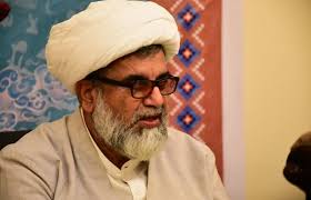 We won't let Pakistan become like Syria, Iraq or Libya: MWM