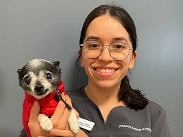 VCA Pinnacle Animal Hospital