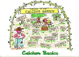 vegetarians in paradise calcium basics charts vegan