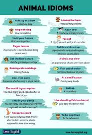 Animal Idioms 20 Interesting Animal Idioms With Meanings Love English In 2020 Idioms Learn English Vocabulary Writing Words