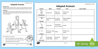 They adapted themselves to the change quickly. Adapted Animals Worksheet Worksheet Teacher Made