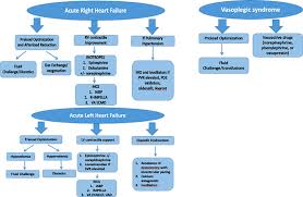 Check spelling or type a new query. Management Of Challenging Cardiopulmonary Bypass Separation Journal Of Cardiothoracic And Vascular Anesthesia