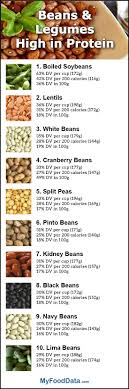top 10 beans and legumes highest in protein