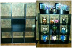 My First New Betta Shelf Have More To Do Betta Fish Betta Aquarium Fish