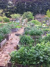 Jul 08, 2020 · healthy, fertile soil with a good structure allows plants to absorb water and nutrients, and encourages strong growth. How To Create A Thriving Organic Garden Organic Horticulture Healthy Garden Kitchen Garden