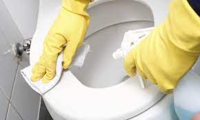 3 Different Techniques To Clean A Toilet Seat