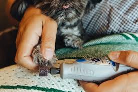 This is why you may be looking for the best nail grinder for cats. The Best Dog Nail Grinders For 2021 Reviews By Wirecutter