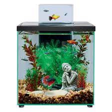 Check spelling or type a new query. Top Fin Escape Aquarium 5 Gallon Fish Aquariums Petsmart