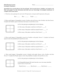 Use your knowledge of genetics to answer the questions below. Https Sciencespot Net Media Gen Spbobincdom Pdf