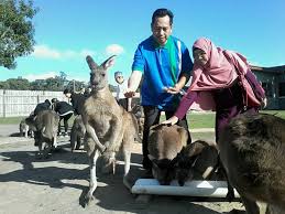 Get melbourne's weather and area codes, time zone and dst. 7 Tip Rujukan Buat Anda Yang Mahu Travel Ke Melbourne Australia