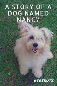 A Story Of A Dog Named Nancy A Tribute Dog Names Dogs Nancy