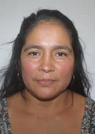 Antecedentes de Otorongos Elecciones 2022