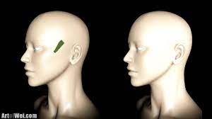 Face Lighting Reference Female And Male Heads Youtube In contrast, research on illumination processing of color image has developed slowly in this field. face lighting reference female and male heads