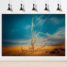 Image result for Terrarium Cling Background