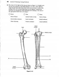 One of the four parts of the skeletal system. Solved 86 Anatomy Physiology Coloring Workbook 21 Iden Chegg Com