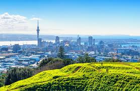 Complete visitor information plus maps and fantastic discount deals. Selling Simplified Group Inc Opens Auckland Nz Office Amidst Record Breaking Company Growth In 2020