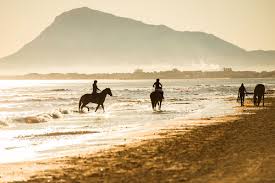 Oliva har länge varit en populär tillflyktsort för spanjorer som bor i andra delar av landet men nu har även utländska besökare upptäckt denna trevliga stad bl.a. Beach Golf Hotel Oliva Nova Golf Golfreisen In Costa Blanca Spanien Fairway Golfreisen