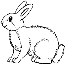 Woikoski storessa voit tilata lääkkeellisiä ja teollisia kaasuja, seurata tilaushistoriasta kaikkia tilauksia tilaustavasta riippumatta ja hallinnoida työtiimisi jäseniä. Coloriage Lapin En Ligne Gratuit A Imprimer