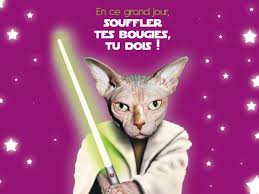 Tu aurais du me demander, je t'aurai fait des sablés dark vador avec pas sûre que j'aurais fait preuve d'autant d'humour 🙂 mais tu as mille fois raison ! Carte Anniversaire Star Wars Jpg 600 450 Carte Anniversaire Anniversaire Ado Carte Anniversaire Animee