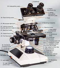 In a microscope, an iris diaphragm is an important component that directly influences the amount of illumination, focus, and contrast of the magnified specimen image. Microscope Magnification Calculator Microscopy Online Einheitenumrechner