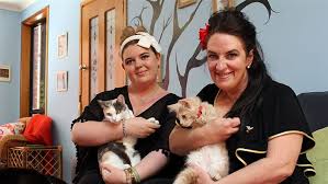 With jeanne app, rina desai. For The Love Of Cats Cake And Coffee Abc None Australian Broadcasting Corporation