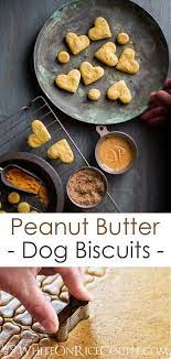 best dog treat biscuits recipe ever easy healthy with ground flax seed 2020