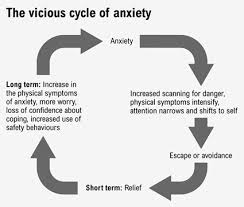 Anxiety Reversing The Vicious Cycle
