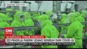 Harga jual yang layak serta farmers share yang di terapkan secara adil dalam usaha sosial indochemical agrotech praktis telah menjadi nilai tambah tersendiri untuk menyelamatkan ekosistem pertanian di daerah rural di sekitar kota bandung. 323 Pekerja Pabrik Udang Sembuh Dari Covid 19 Youtube