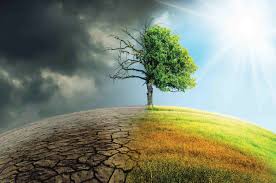 What Does Climate Change Mean To You